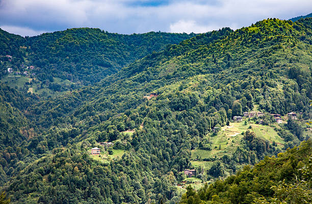 istock Black Sea Region  Forests 584229464