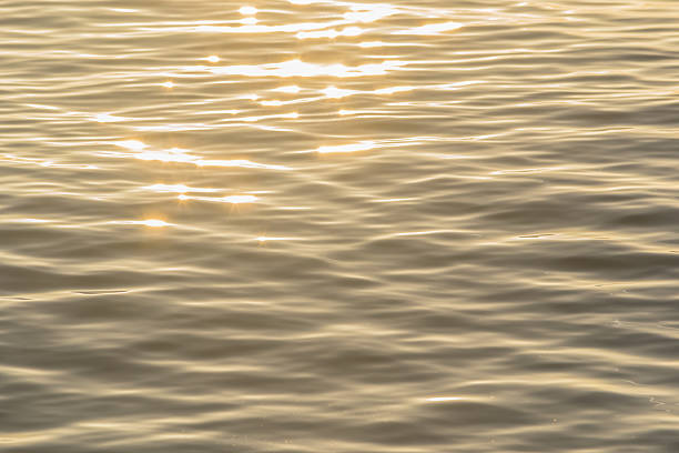istock golden color water ripples. 584229840