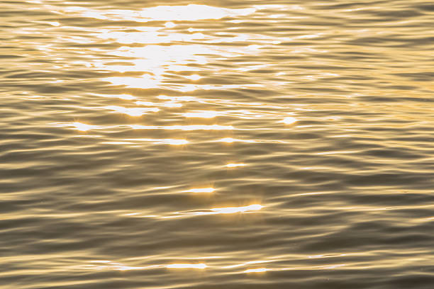 istock golden color water ripples. 584229886