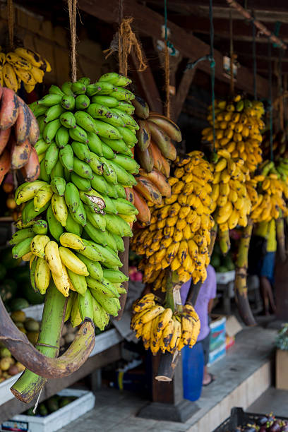 istock Bananas on the market 584233092