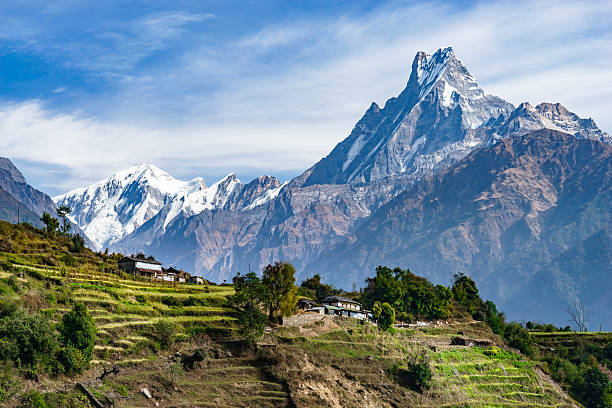 machhapuchhre y campos en terrazas, nepal - himalayas fotografías e imágenes de stock