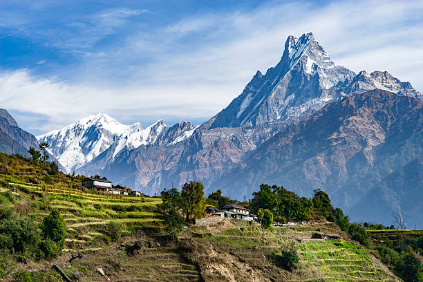 machhapuchhre et terraced fields, népal - himalayas photos et images de collection