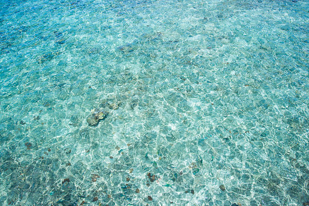 istock surface of sea water 584238452