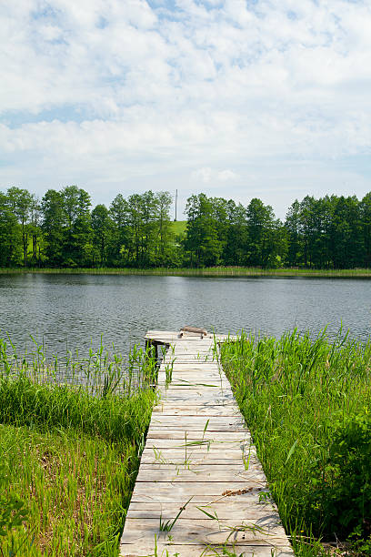 istock pier at the lake 584238638