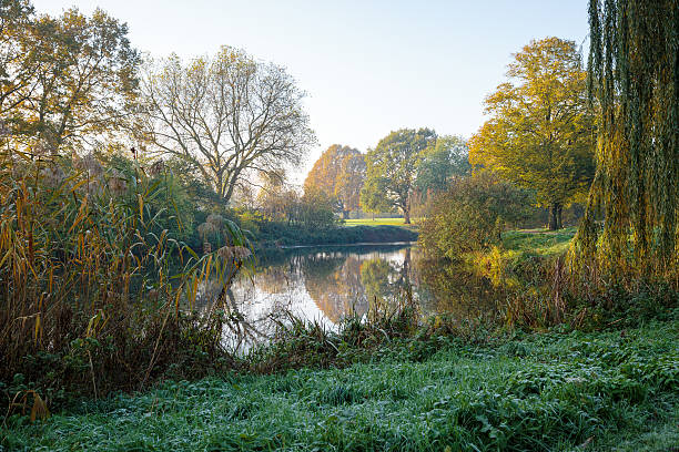 istock Morning Sun in Park at Krefeld 584242304