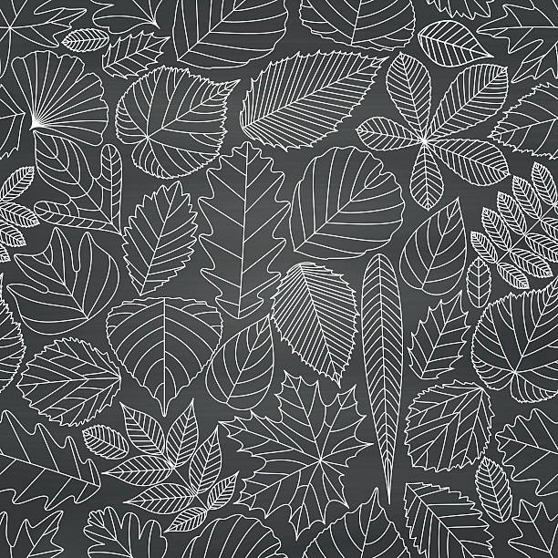 이음새 없는 패턴, 로세아 잎 - chestnut tree leaf tree white background stock illustrations