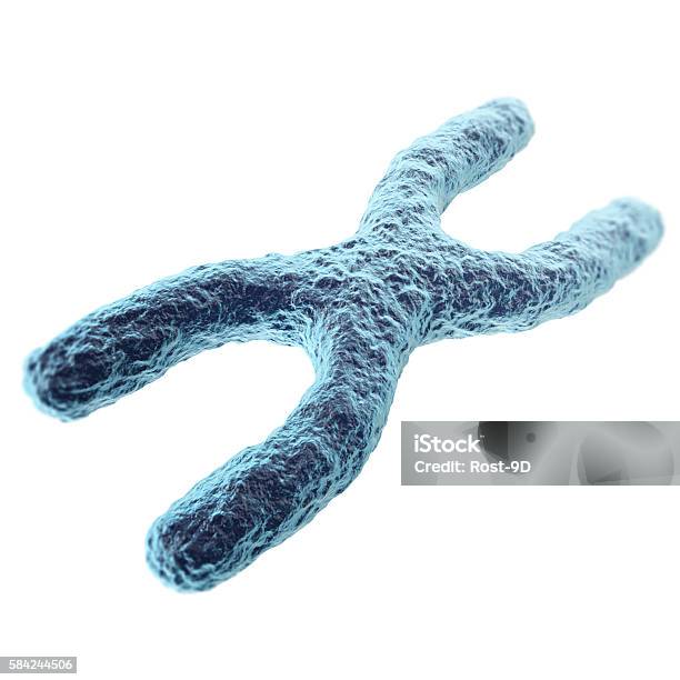 Chromosome Isolated On White Background With Depth Of Field Effect Stock Photo - Download Image Now