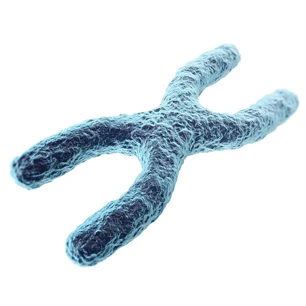 Photo of Chromosome isolated on white background. with depth of field effect