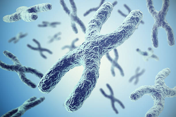 istock Chromosomes on blue background, scientific concept 3d illustration 584244594