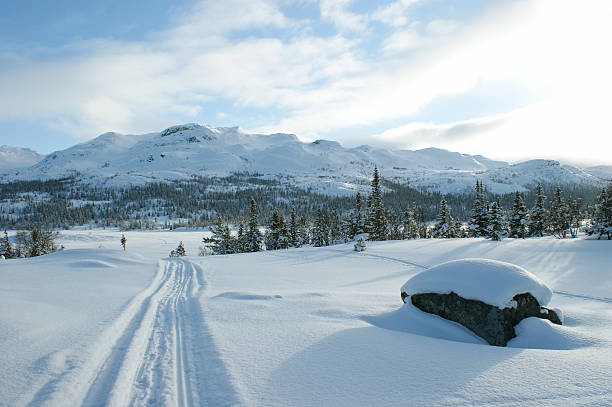 winter landscape with ski tracks - telemark skiing fotos imagens e fotografias de stock