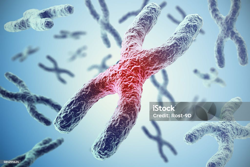 Chromosomes on blue background, scientific concept 3d illustration Chromosome Stock Photo