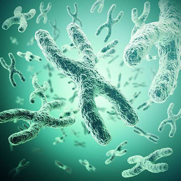 istock Chromosome with focus effect, human medical symbol for gene therapy 584244954