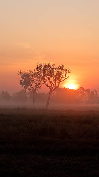 istock Sun Rise in The Countryside 584245024