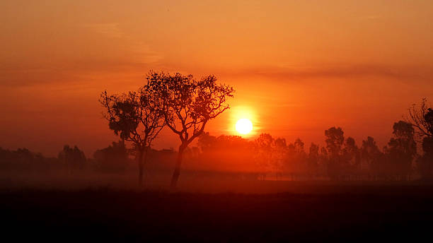 istock Sun Rise in The Countryside 584245138