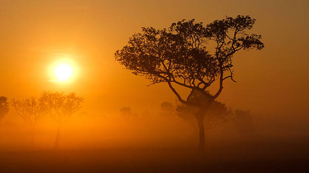 istock Sun Rise in The Countryside 584245258