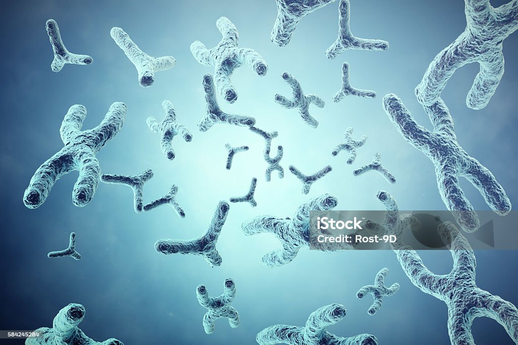XY-chromosomes on grey background, scientific and biology concept with XY-chromosomes on grey background, scientific and biology concept with depth of field effect. 3d illustration Telomere Stock Photo