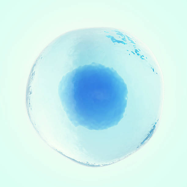 istock Single human or animal cell on blue background. 3d illustration 584245312