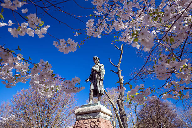 Cherry blossom at Wooster Square in New Haven