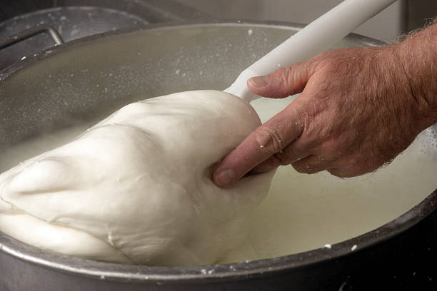 istock preparation of mozzarella in a dairy 584465012