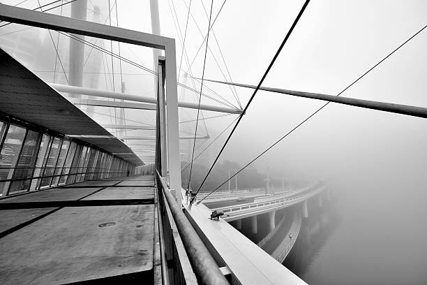 istock Australia Landscape : Kurilpa Bridge of Brisbane 584465530