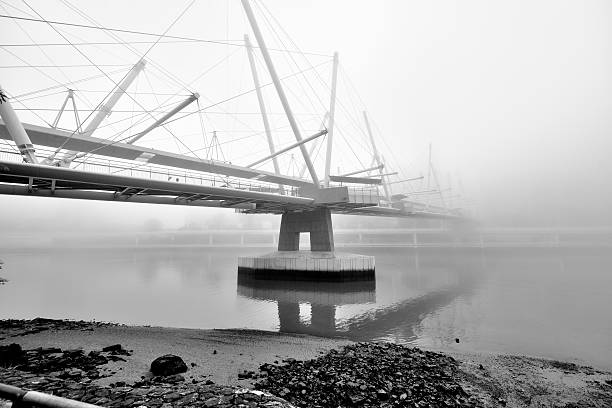 istock Australia Landscape : Kurilpa Bridge of Brisbane 584465640