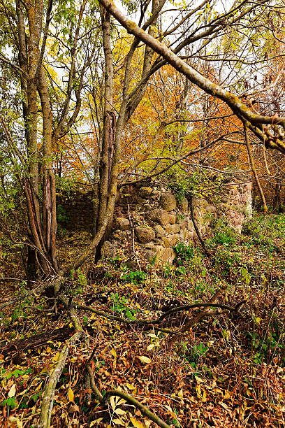 istock the ruins of an old building 584469248
