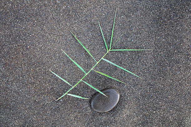 design composition grass and round pebbles on dark brown sand background