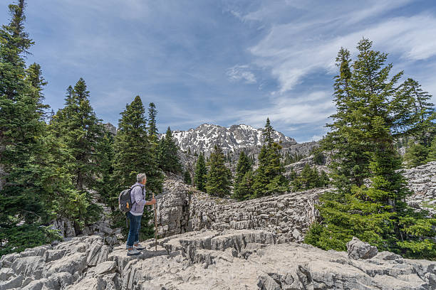 istock man hiking in the mountain. 584477558