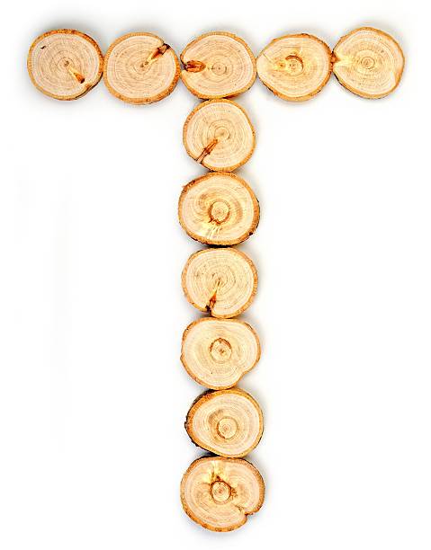 istock Alphabet letters made from Wood slice on white Background.T 584478476