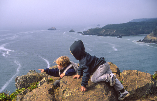 Two young boys on a rock overlooking the Pacific Ocean. Trinidad, California.
