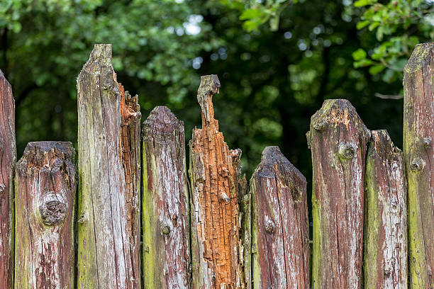 istock Rotten wooden fence 584482012