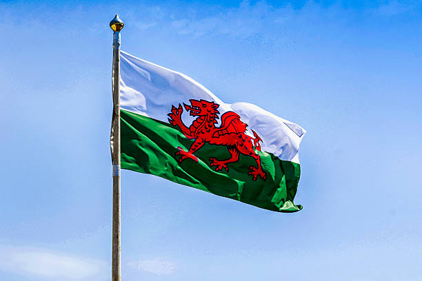 drapeau gallois vert et blanc avec le dragon rouge - welsh flag photos et images de collection