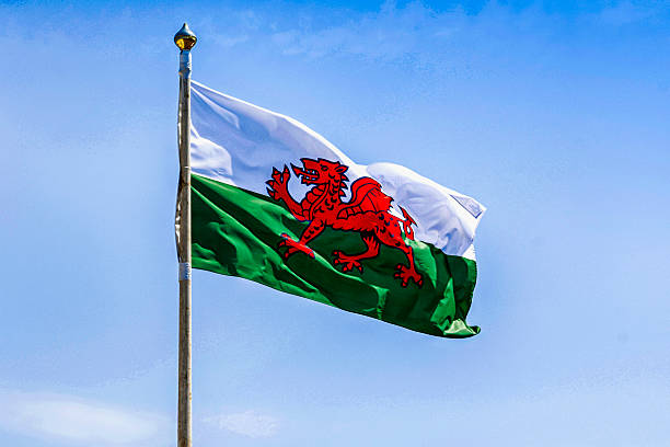 green and white welsh flag with the red dragon - welsh culture wales welsh flag dragon imagens e fotografias de stock