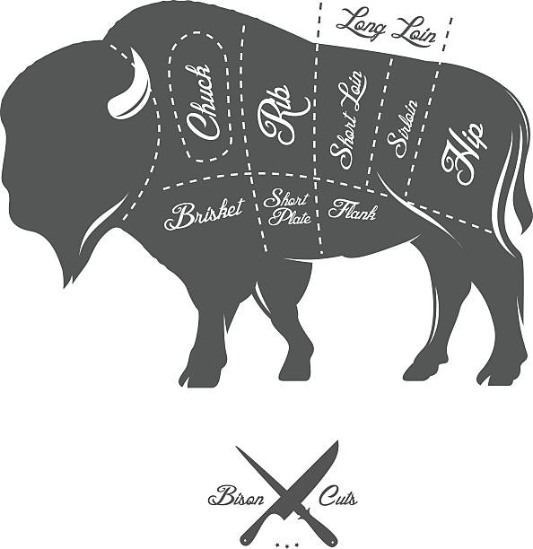 vintage metzger schnitte von bison büffel schema diagramm - wound cutting beef vector stock-grafiken, -clipart, -cartoons und -symbole