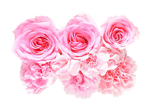 istock Bouquet of carnation and rose 584482802