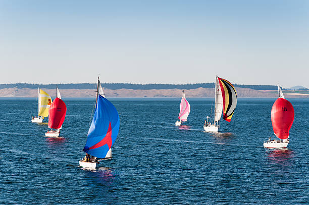 regata de veleros en port townsend - sailboat race fotografías e imágenes de stock