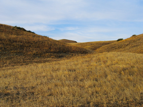 Grass covered hills in the fall