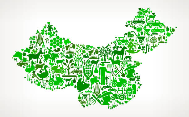 China Farming and Agriculture Green Icon Pattern China Icon . The green vector icons create a seamless pattern and include popular farming and agriculture. Farm house, farm animals, fruits and vegetables are among the icons used in this file. The icons are carefully arranged on a light background and vary in size and shades of green color. pig farmer china stock illustrations