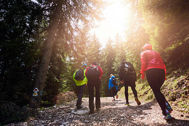 istock they love being in nature 584496118