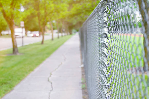 istock summer walk in park neighborhood 584498478