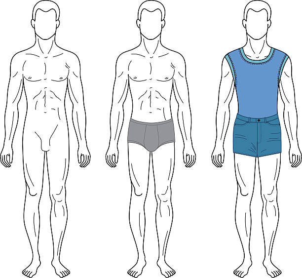 moda mężczyzna przedstawiono wzór na całej długości, rysunek sylwetka - men swimwear full length fashion model stock illustrations