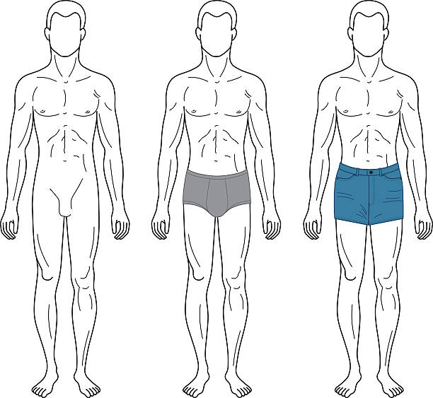 moda mężczyzna przedstawiono wzór na całej długości, rysunek sylwetka - men swimwear full length fashion model stock illustrations