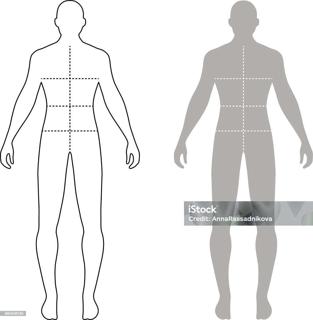 Fashion man outlined template figure silhouette with marked body Fashion man full length outlined template figure silhouette with marked body's sizes lines (front view), vector illustration isolated on white background Measuring stock vector