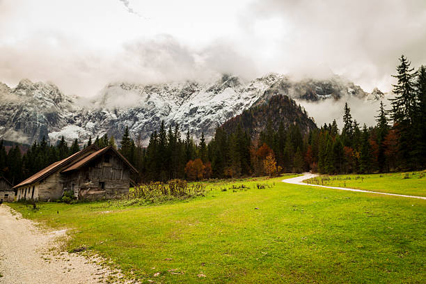istock Autumn morning in the alps 584500364