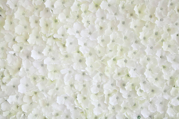 Texture of white artificial flower stock photo