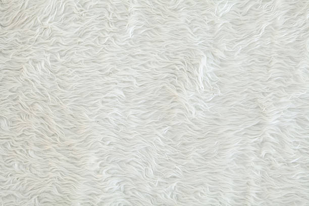 Texture of white fur carpet stock photo