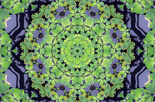 Abstract kaleidoscope background in green colors