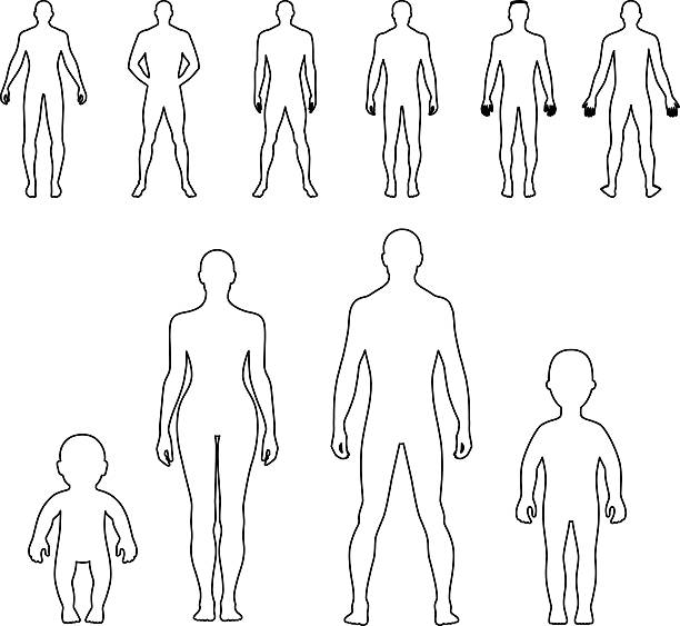 ilustrações de stock, clip art, desenhos animados e ícones de full length front, back human outlined silhouette set - rear view human arm naked men