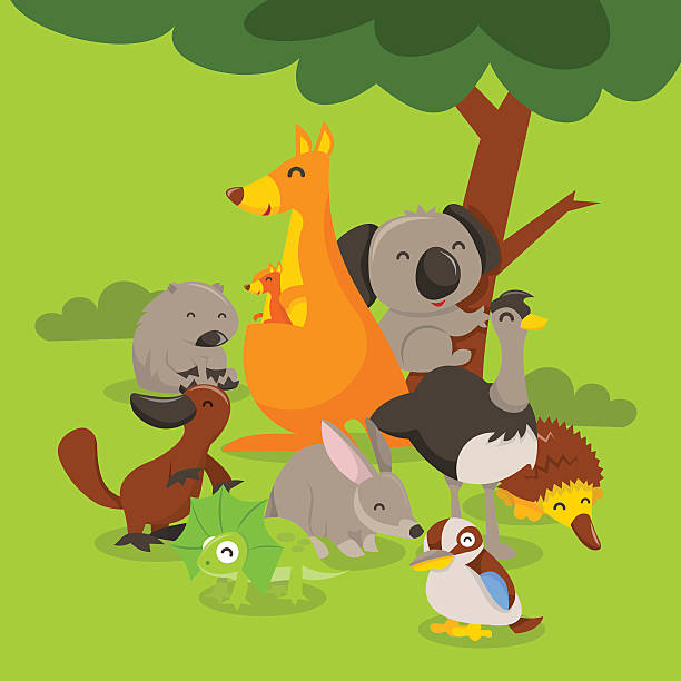 Australian Animals Scene A cartoon vector illustration of a group of cute and happy australian animals like kangaroo, koala bear, wombat, emu, bilby, echidna, kookaburra, frill-neck lizard and platypus. wombat stock illustrations