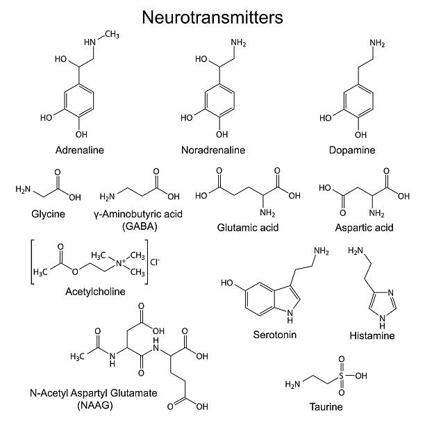 illustrazioni stock, clip art, cartoni animati e icone di tendenza di formule chimiche dei neurotrasmettitori di base - acetylcholine